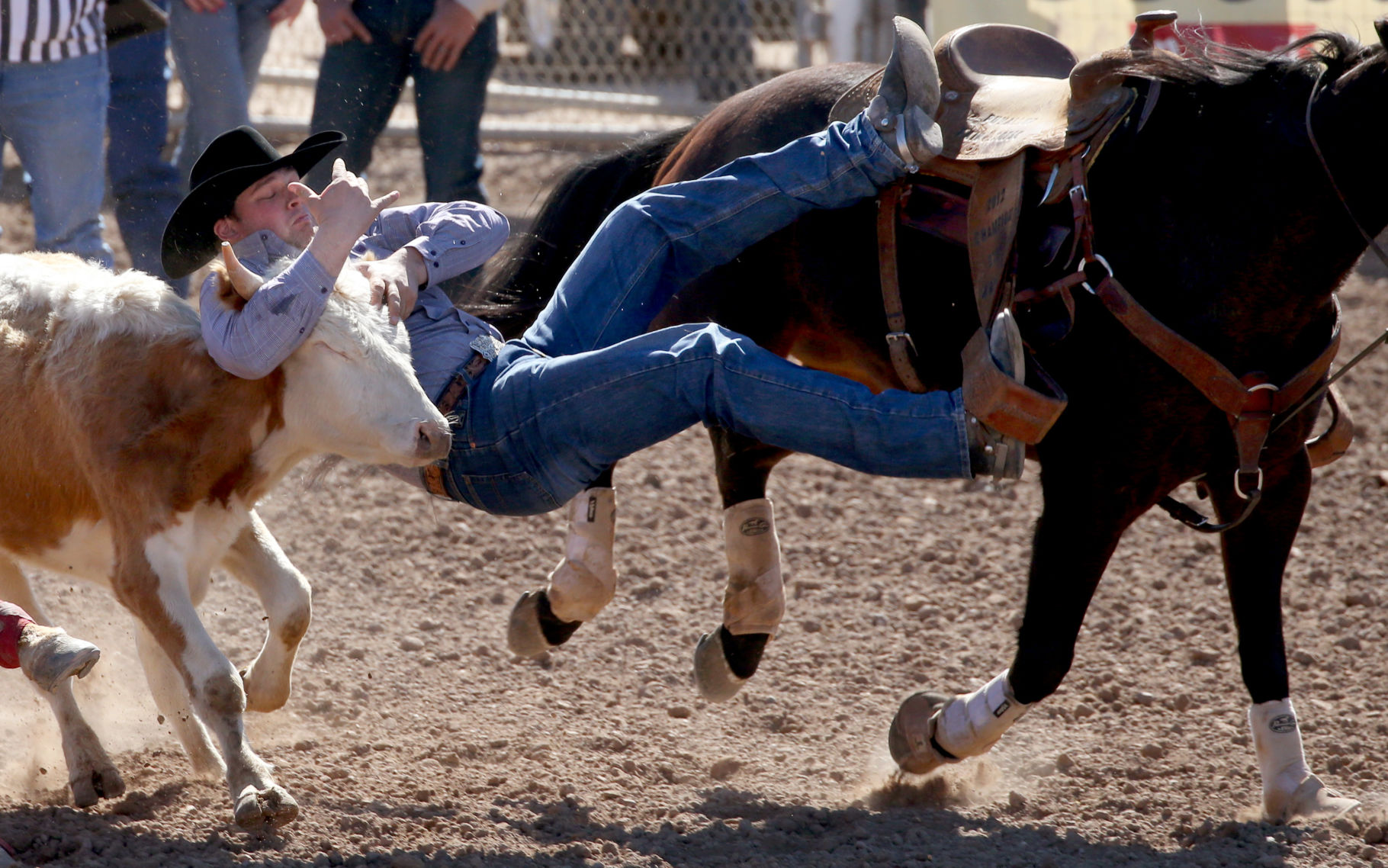 Tucson Rodeo
